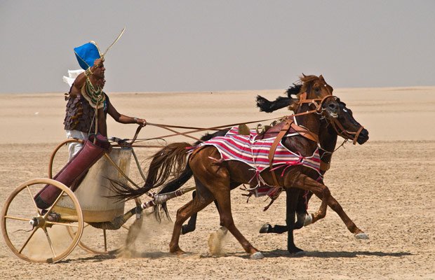 Egyptian war chariot