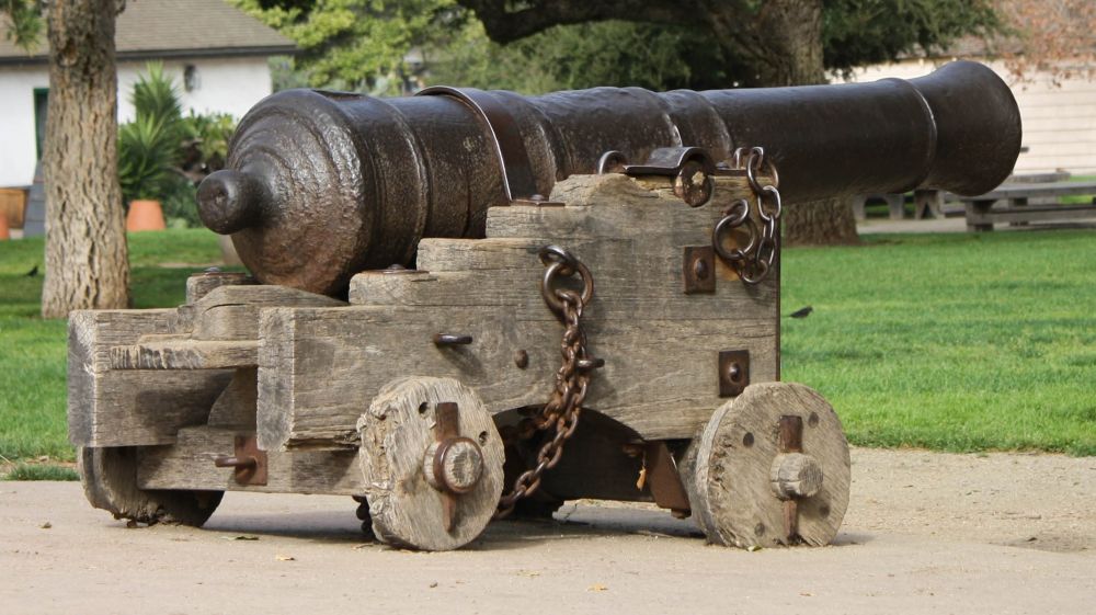 Cannon