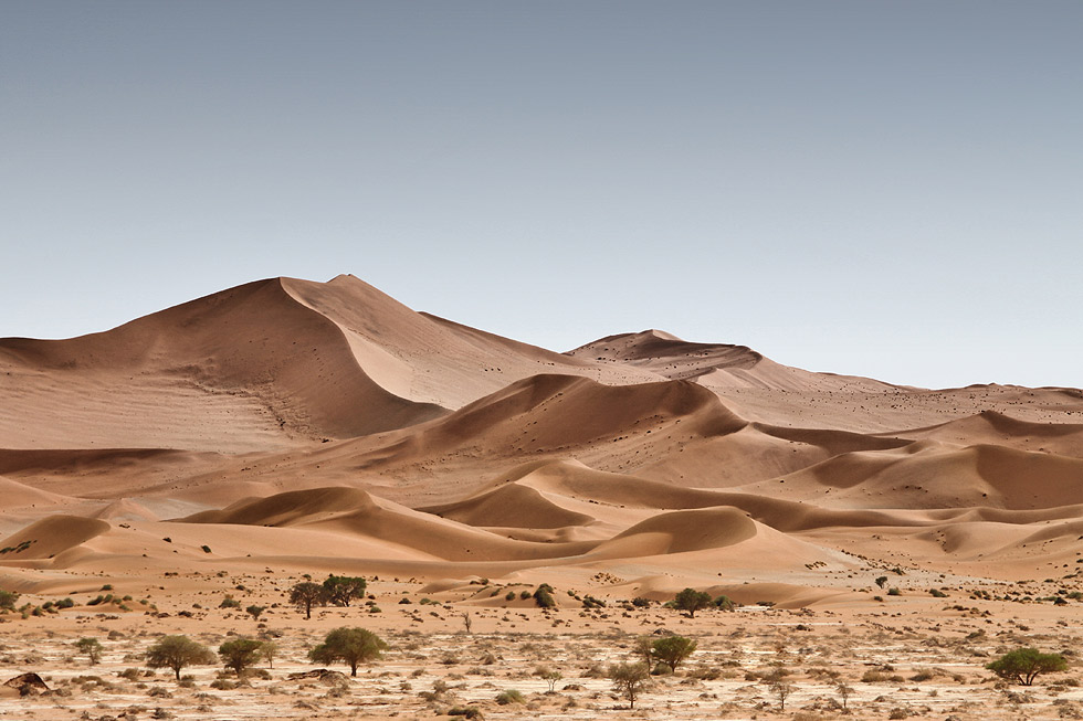 Namibian desert