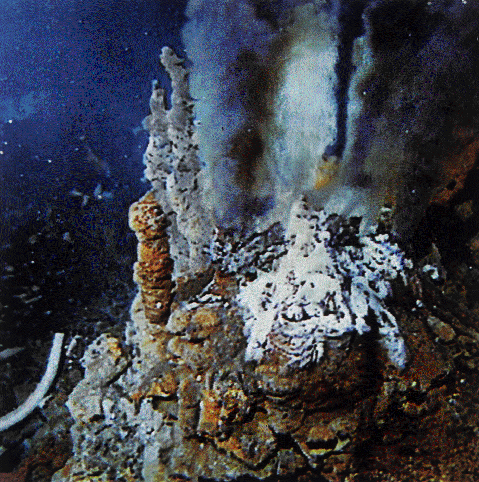 Black smokers near the Cayman islands