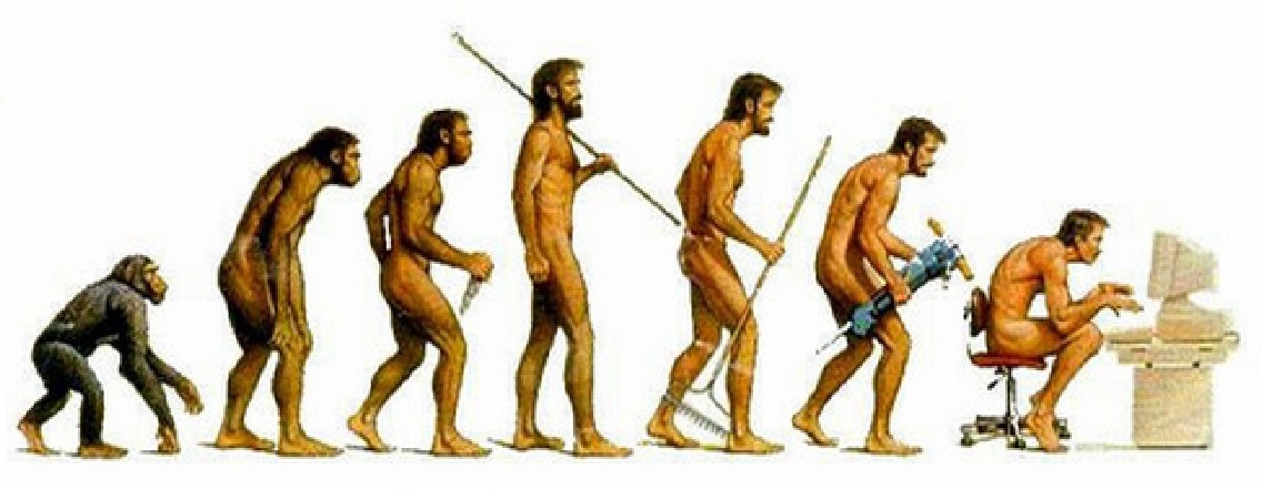 Human evolution in full